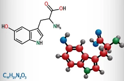 5-HTP molecular structure — direct serotonin precursor