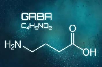 GABA molecular structure — the brain's primary inhibitory neurotransmitter