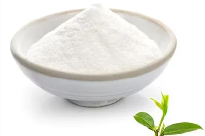 L-theanine powder with green tea leaves — amino acid promoting calm without sedation
